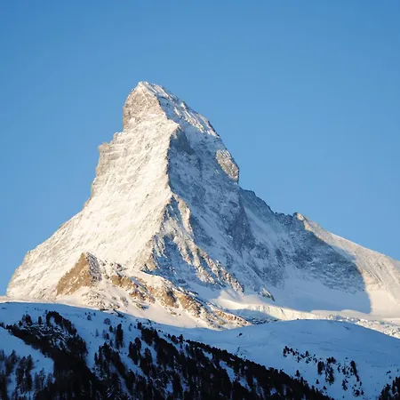 Chalet Schwalbennest