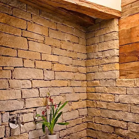 Schwalbennest Chalet *