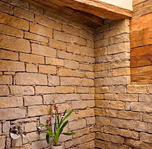 Schwalbennest 木屋 *